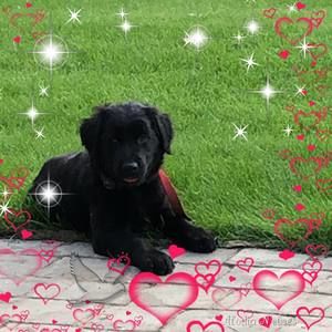 Meet your Posher, Natalie